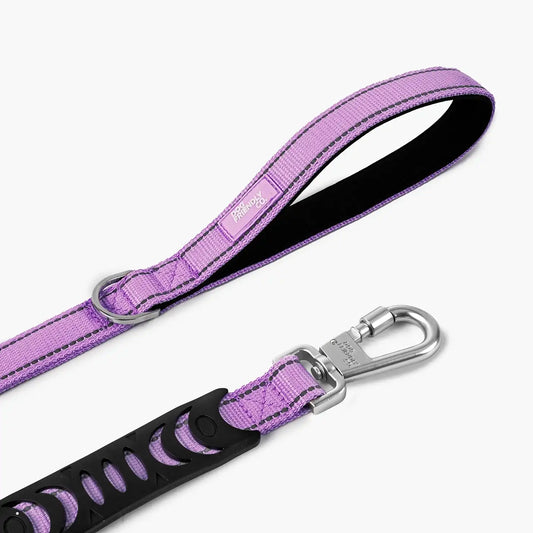 Bungee Dog Leash - Purple