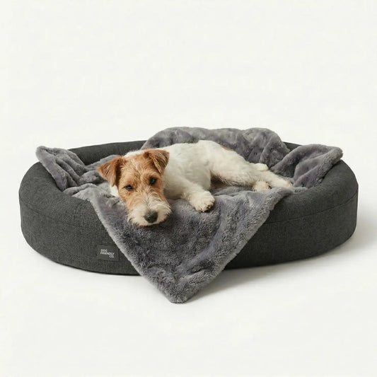 Chill Pill Memory Foam Dog Bed - Charcoal (Large)