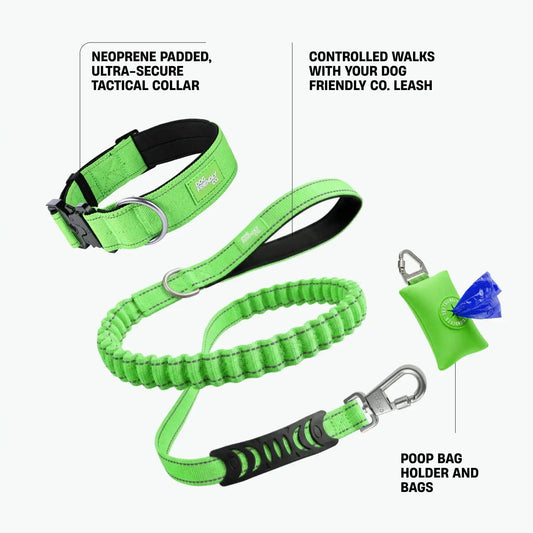 Collar Walk Set - Neon Green