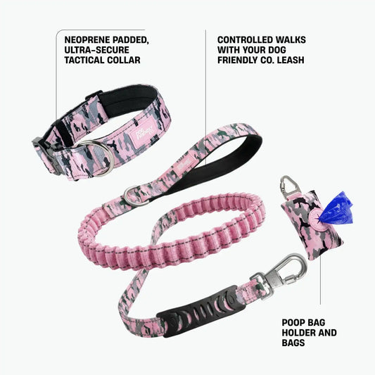 Collar Walk Set - Pink Camo