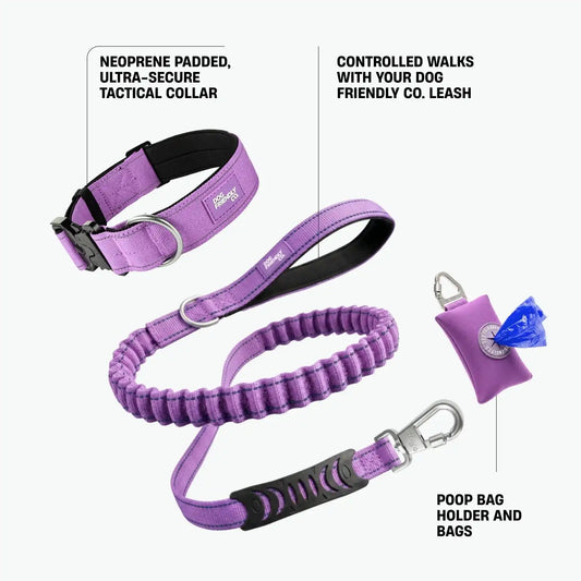 Collar Walk Set - Purple
