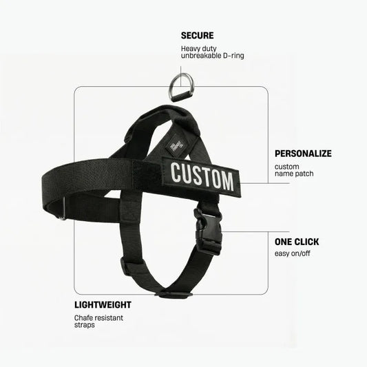 Personalised Dog Harness - Black
