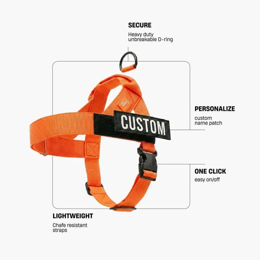 Personalised Dog Harness - Hi-vis Orange