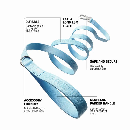 Long Dog Leash - Sky Blue
