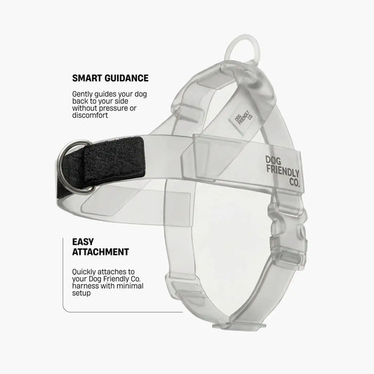 No-Pull D-Ring Harness Attachment