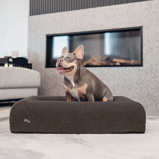 Premium Orthopedic Memory Foam Dog Bed - Brown Bouclé
