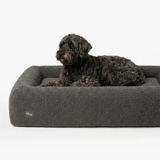 Premium Orthopedic Memory Foam Dog Bed - Brown Bouclé (Small) (LP)