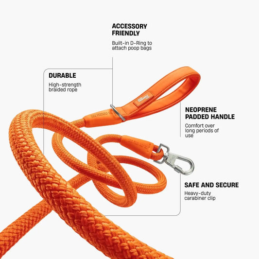 Rope Dog Leash - Hi-Vis Orange