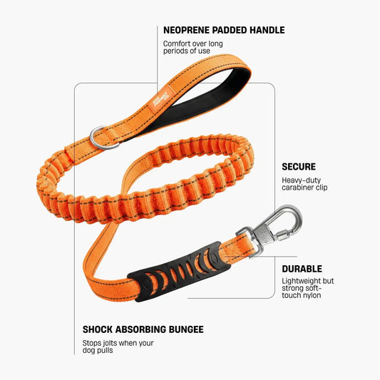 Bungee Dog Leash - Hi-Vis Orange
