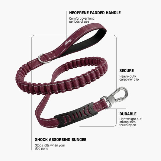 Bungee Dog Leash - Burgundy