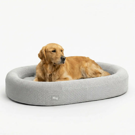Chill Pill Memory Foam Dog Bed - Grey (Medium)