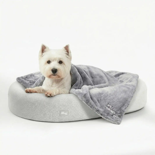 Chill Pill Memory Foam Dog Bed - Grey (Small)
