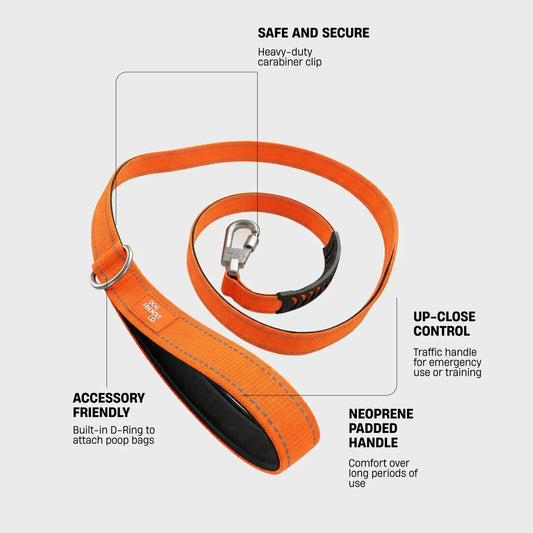 Classic Dog Leash - Hi-Vis Orange