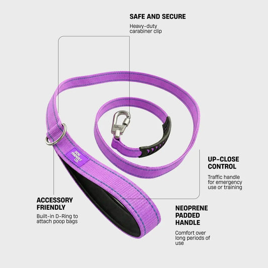 Classic Dog Leash - Purple