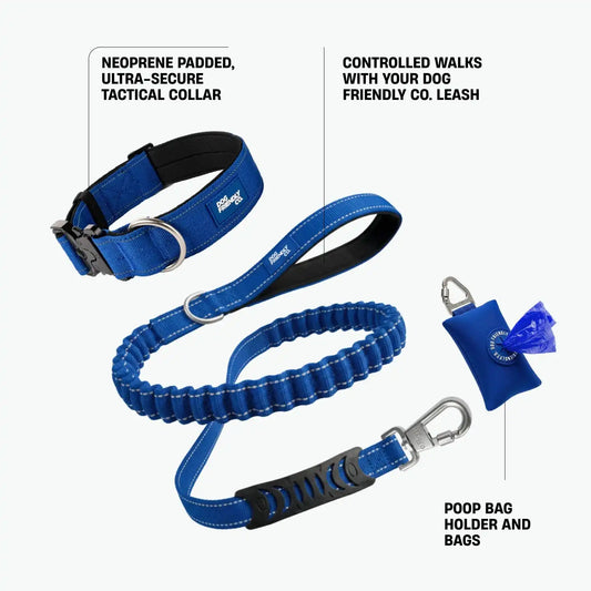 Collar Walk Set - Classic Blue