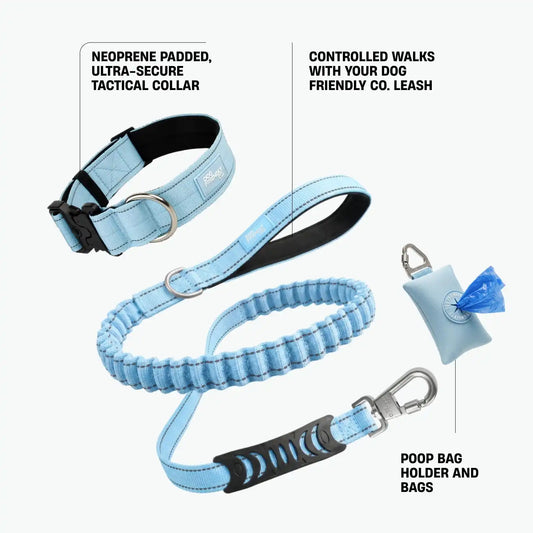 Collar Walk Set - Sky Blue