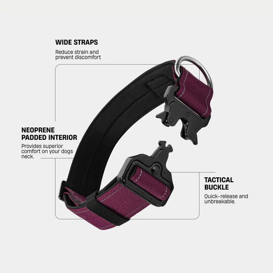 Tactical Dog Collar - Burgundy