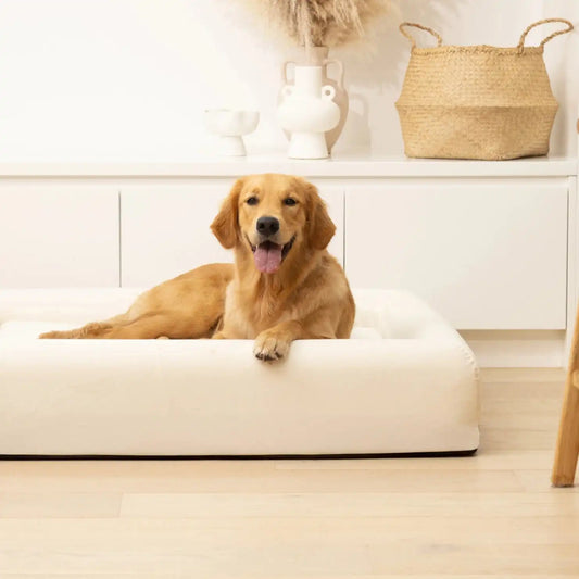 Premium Orthopedic Memory Foam Dog Bed - Beige