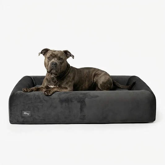 Premium Orthopedic Memory Foam Dog Bed - Charcoal (Small) (LP)