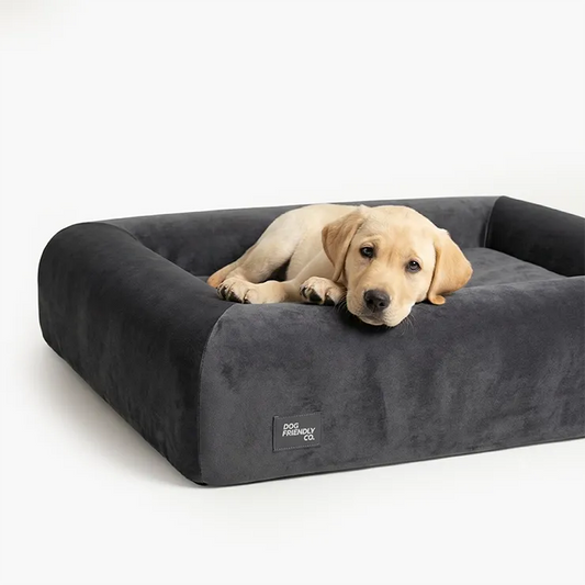 Premium Orthopedic Memory Foam Dog Bed - Charcoal (Medium) (LP)