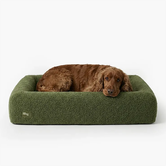 Premium Orthopedic Memory Foam Dog Bed - Green Bouclé (Large) (LP)
