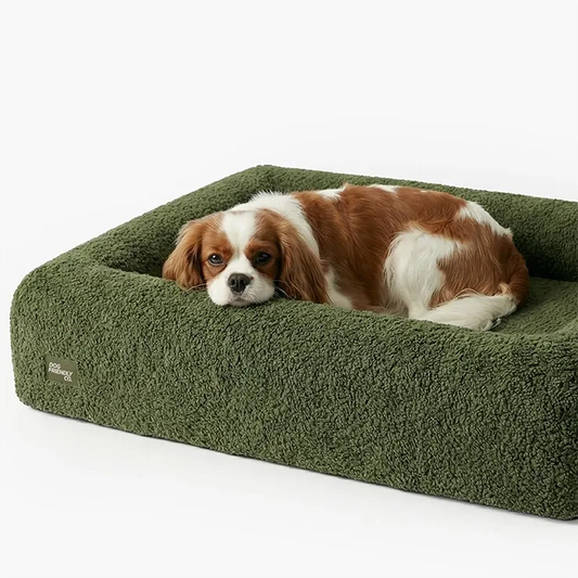 Premium Orthopedic Memory Foam Dog Bed - Green Bouclé (Large) (LP)