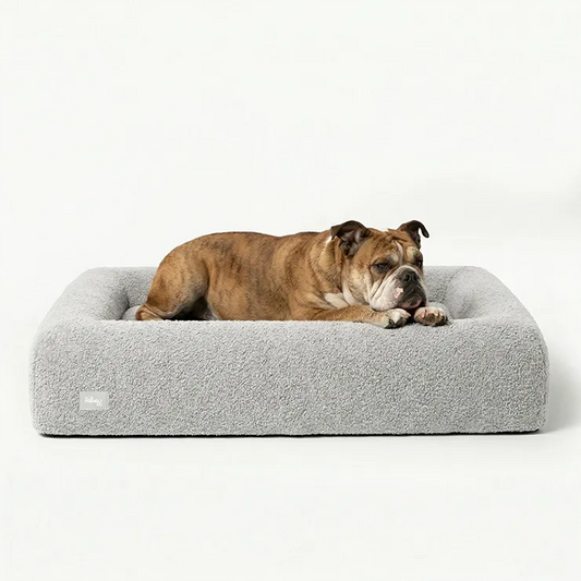 Premium Orthopedic Memory Foam Dog Bed - Grey Bouclé (Medium) (LP)
