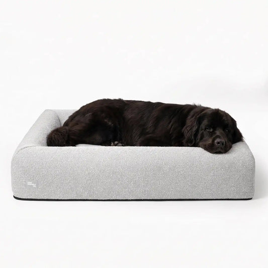 Premium Orthopedic Memory Foam Dog Bed - Grey Bouclé