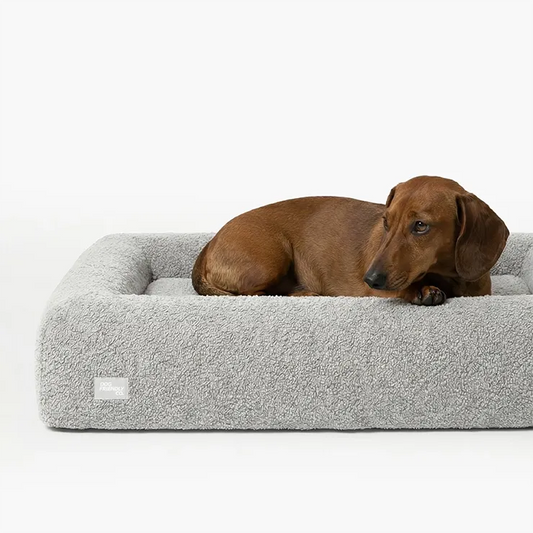 Premium Orthopedic Memory Foam Dog Bed - Grey Bouclé (Medium) (LP)