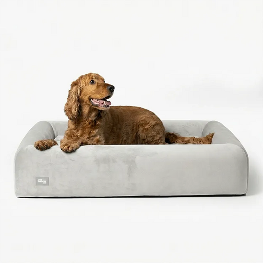 Premium Orthopedic Memory Foam Dog Bed - Grey (Medium) (LP)