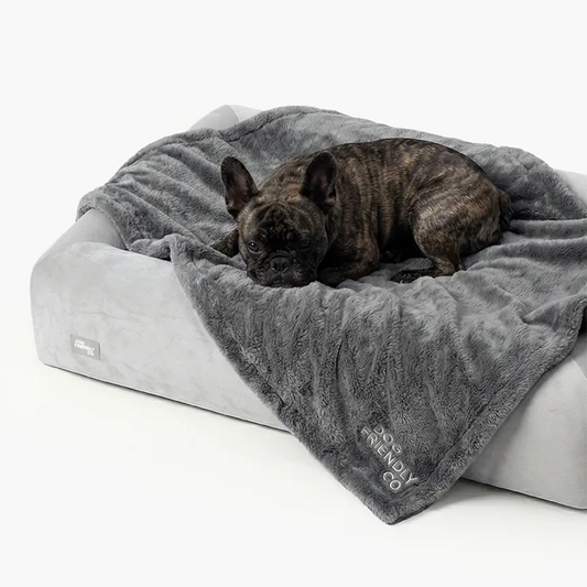 Premium Orthopedic Memory Foam Dog Bed - Grey (Medium) (LP)