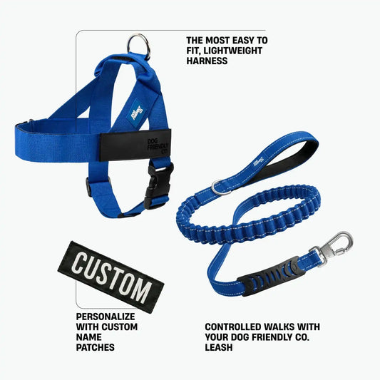 Signature Kit - Classic Blue - FREE D-Ring
