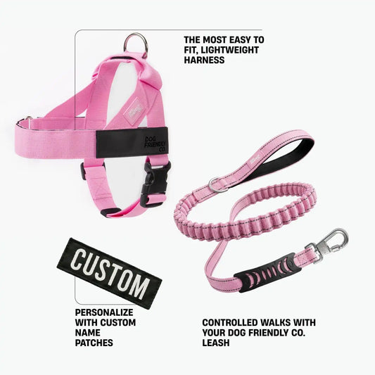 Signature Kit - Pink - FREE D-Ring