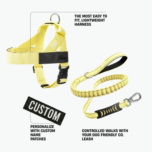 Signature Kit - Yellow