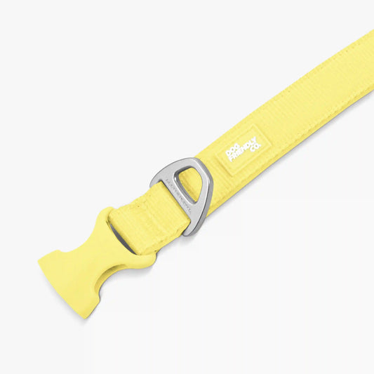 Essentials Collar - Yellow